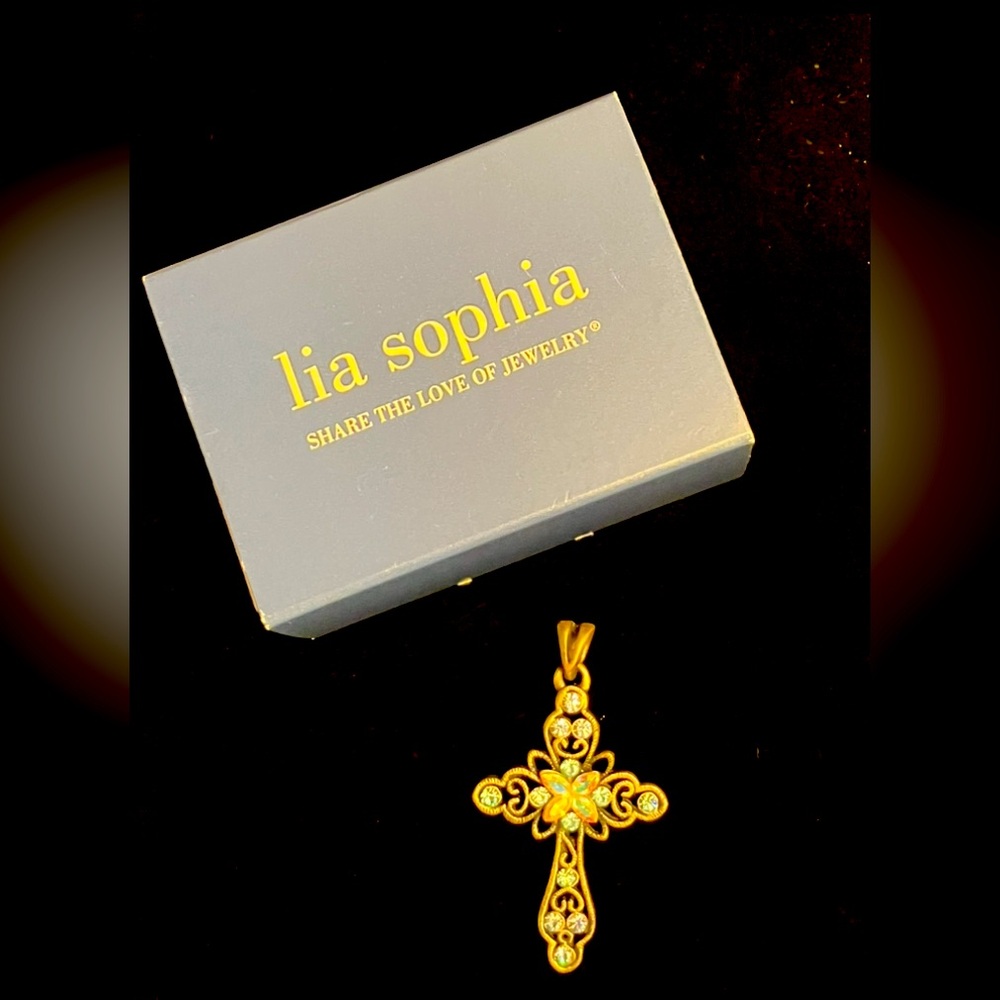 New Lia Sophia gorgeous cross necklace in box